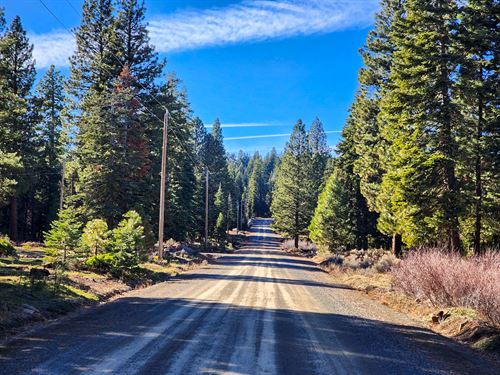 Create Your Own Adventure : Alturas : Modoc County : California