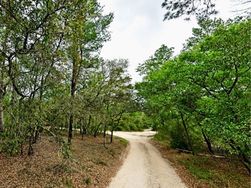No HOA, Near Lake, Owner Financing : Satsuma : Putnam County : Florida