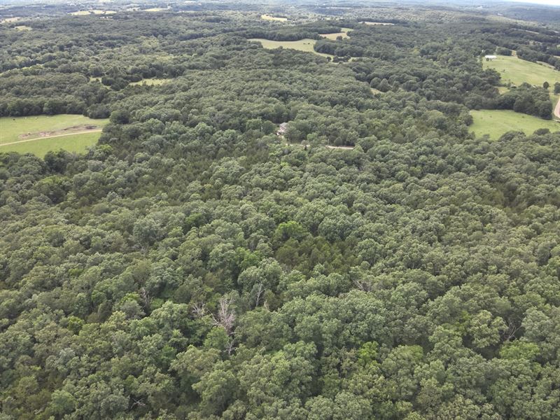 9 Acres in Iberia, Missouri : Iberia : Miller County : Missouri