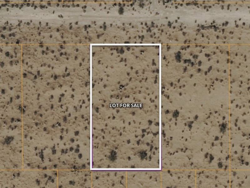 .41 Ac Lot in El Paso County TX : El Paso : El Paso County : Texas