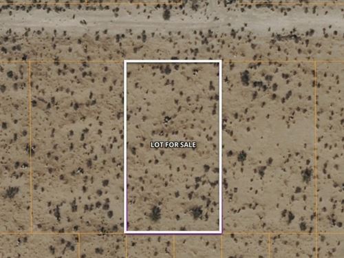 .41 Ac Lot in El Paso County TX : El Paso : Texas