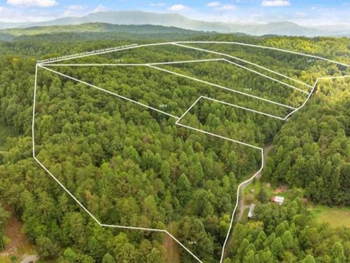 Pidgeon Forge TN 5 Acre Homesite : Sevierville : Sevier County : Tennessee