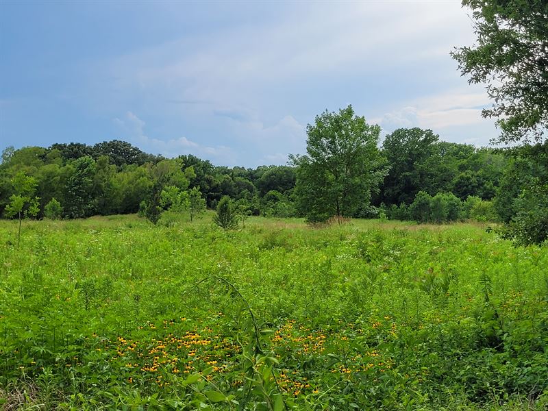 11.2 Acres Near Clarksville TX : Clarksville : Red River County : Texas