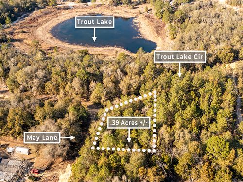 Trout Lake Special : Interlachen : Putnam County : Florida