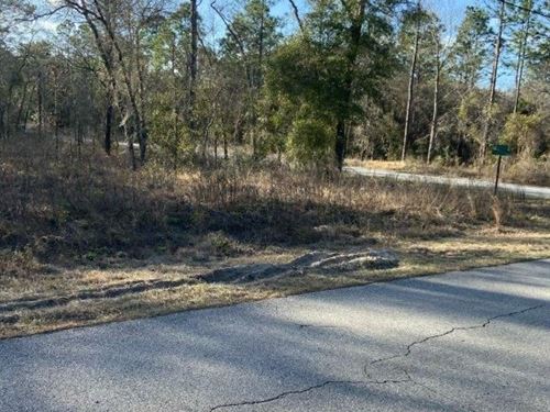 Escape The Concrete Jungle : Dunnellon : Marion County : Florida