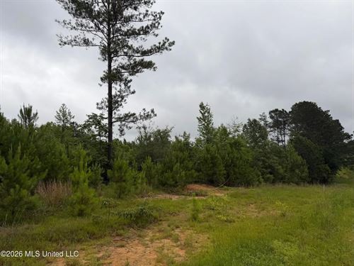 1.58 Acres North Pike School Distri : Summit : Pike County : Mississippi