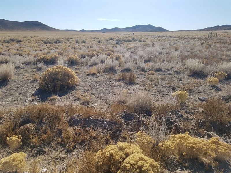 Mountain Views and Power Nearby : San Acacio : Costilla County : Colorado