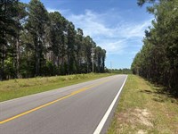 Country Homesite Acreage : Sandersville : Washington County : Georgia