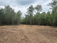 6 Ac Homesite, Paved Frontage : Sandersville : Washington County : Georgia