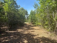 Rural Homesite Close to Milledgevil : Sandersville : Washington County : Georgia