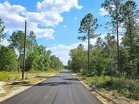 Lot 5, The Reserve Phase II Blacks : Blackshear : Pierce County : Georgia