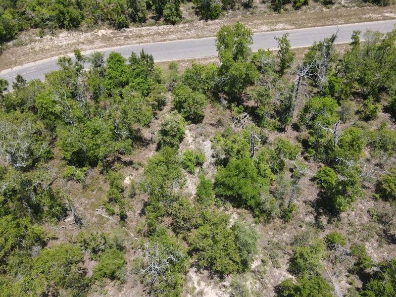 Claim Your Own Place in The Sun : Chipley : Washington County : Florida