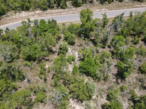 Claim Your Own Place in The Sun : Chipley : Washington County : Florida