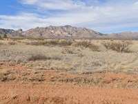 1.07 Acre Cochise County Gem : Sunsites : Cochise County : Arizona