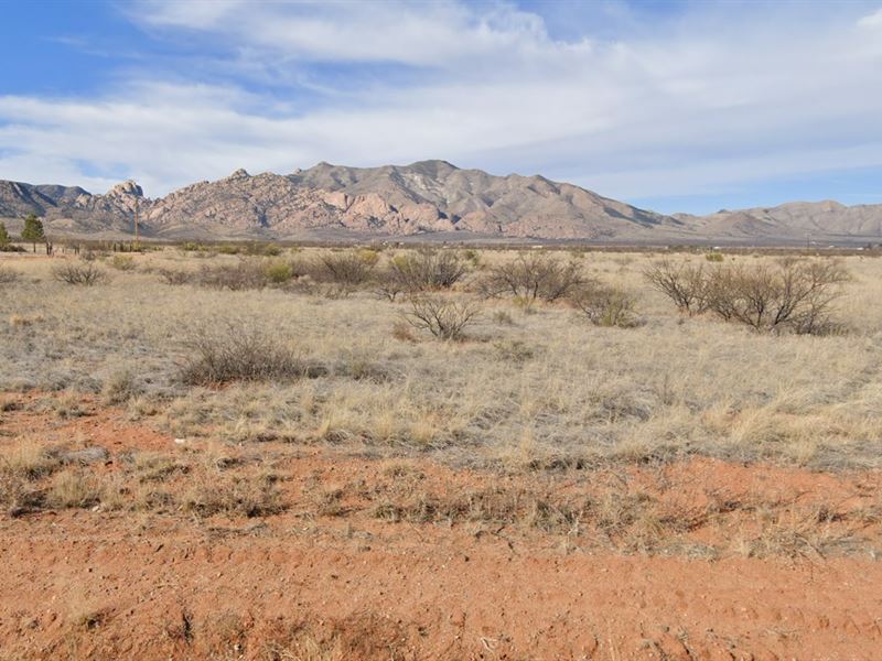 1.07 Acre Cochise County Gem : Sunsites : Cochise County : Arizona