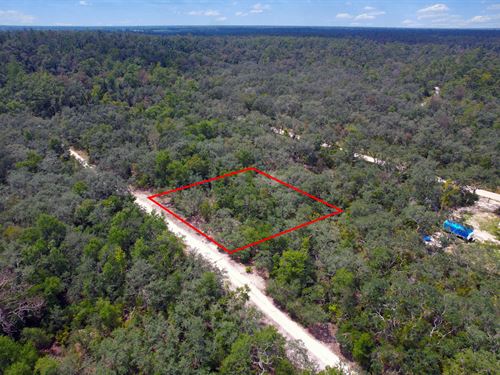 Homesite Close to Attractions : Live Oak : Suwannee County : Florida