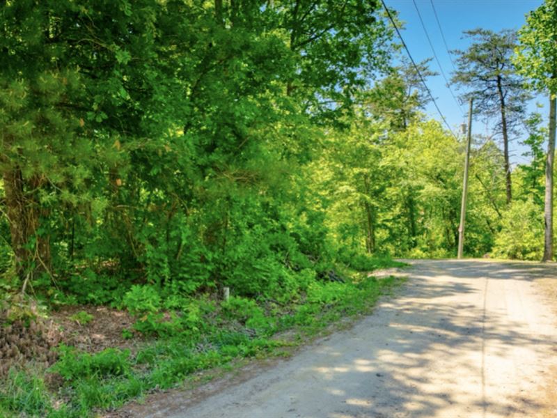 Wooded Homesite with Power & Water : Sparta : White County : Tennessee