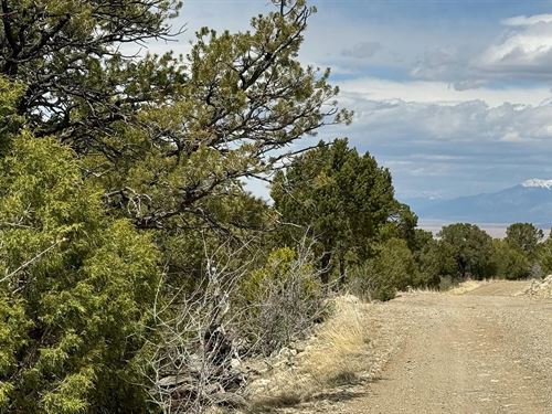 Where Cabin Living Comes to Life : Mosca : Alamosa County : Colorado