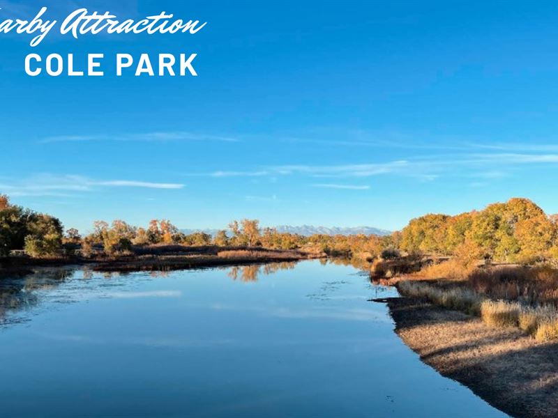 Own 5.34 Acre for Just $169 Down : Mesita : Costilla County : Colorado