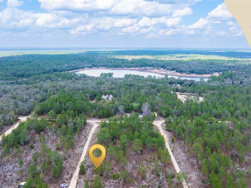 .46 Acre Double Lot in North FL : Interlachen : Putnam County : Florida