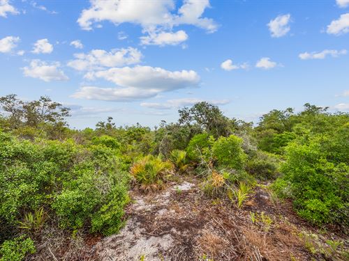.23 Acres in Lake Placid, Florida : Lake Placid : Highlands County : Florida