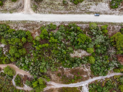 .23 Acre of Buildable Florida Land : Lake Placid : Highlands County : Florida
