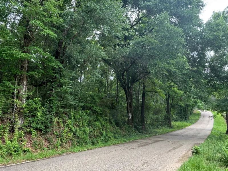 5 Acre Residential Lot in Washingto : Bogalusa : Washington Parish : Louisiana