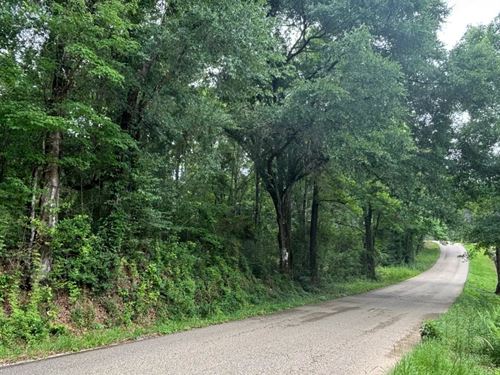 5 Acre Residential Lot in Washingto : Bogalusa : Washington Parish : Louisiana