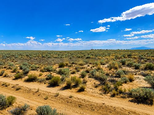 Land Minutes From Rio Communites NM : Belen : Valencia County : New Mexico