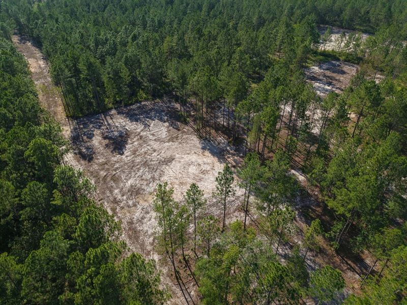 3.5 Ac Land for Sale in Appling : Odum : Appling County : Georgia
