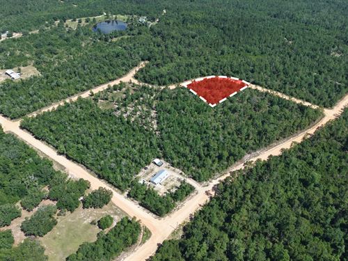 Quiet Country Living : Alford : Jackson County : Florida