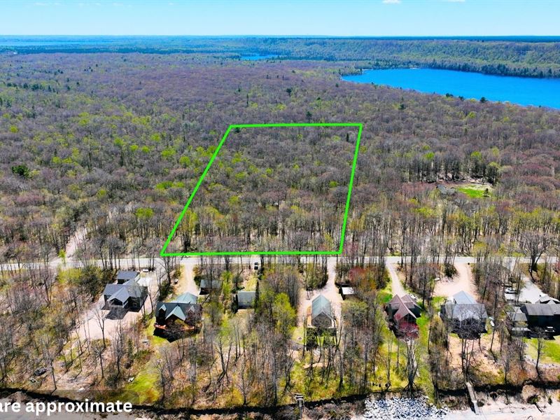 10 Acres in Brimley MI : Brimley : Chippewa County : Michigan
