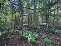 1.67 Acres, Stephens County, GA : Toccoa : Stephens County : Georgia
