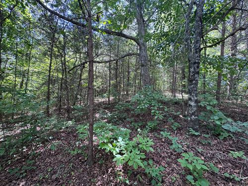 1.67 Acres, Stephens County, GA : Toccoa : Stephens County : Georgia