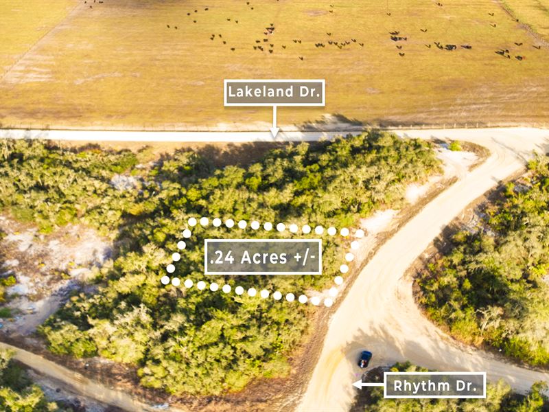 Sun N Lakes Retreat : Lake Placid : Highlands County : Florida