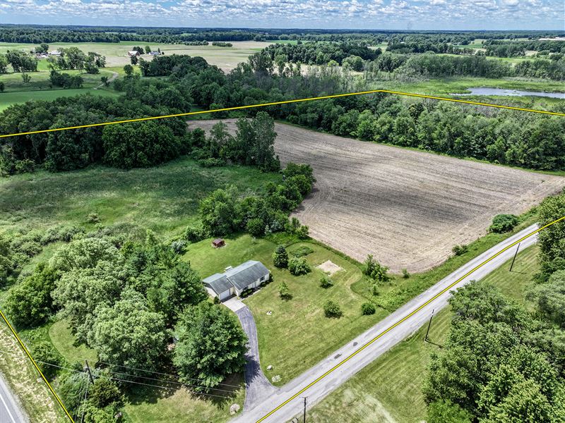 Real Estate Auction, Noble Co, In : Kendallville : Noble County : Indiana