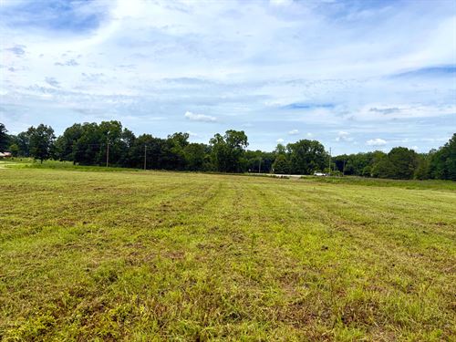 Rutledge Mini Farm : Luverne : Crenshaw County : Alabama
