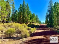 Trees, Power & Private River Access : Chiloquin : Klamath County : Oregon