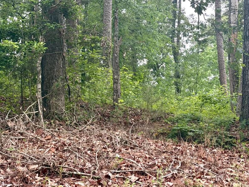 101 Individual Lots in Grenada Coun : Gore Springs : Grenada County : Mississippi