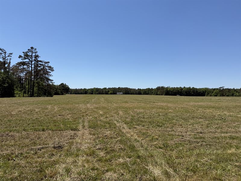 Land for Sale in Tn, Open Land, 2.1 : Adamsville : Hardin County : Tennessee