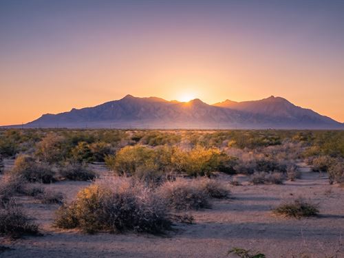 Silence, 3 Acres, NM : Deming : Luna County : New Mexico