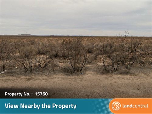 Beautiful Isolated Property : Culberson : Texas