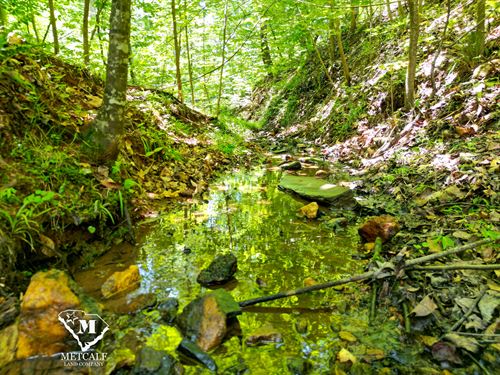 3.54 Acre Homesite in Landrum, SC : Landrum : Spartanburg County : South Carolina