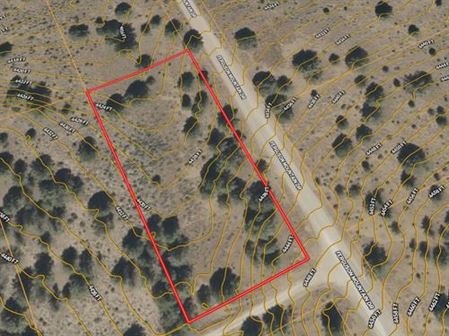 1.5 Acres in Klamath County, OR : Near Beatty : Klamath County : Oregon