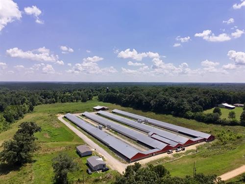 Mughal Breeder Farm : Phil Campbell : Franklin County : Alabama