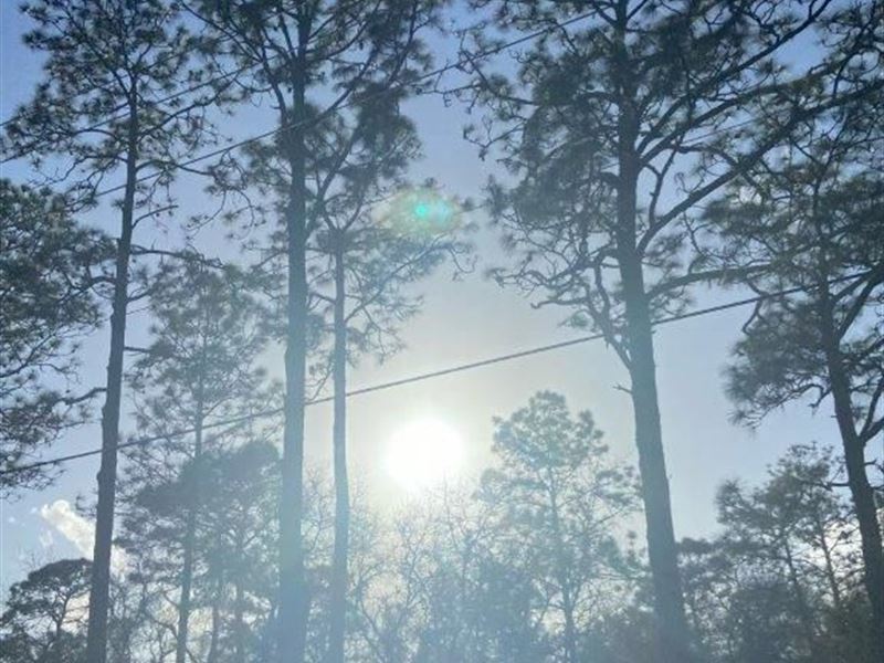Florida is Waiting for You : Dunnellon : Marion County : Florida