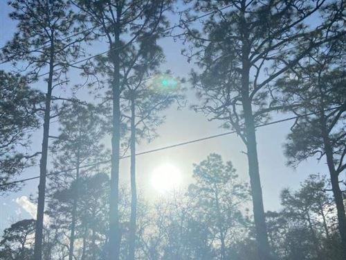 Florida is Waiting for You : Dunnellon : Marion County : Florida