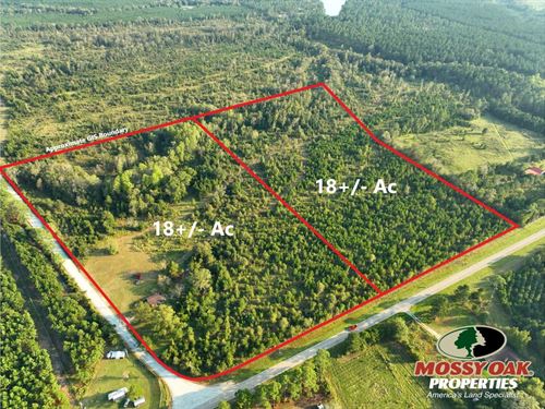 18 Ac Land For Sale Dodge Count : Eastman : Dodge County : Georgia