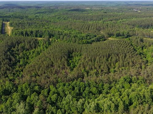 Darbytown Double Ridge : Hohenwald : Lewis County : Tennessee